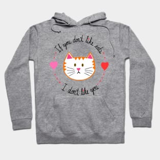 If You Don't Like Cats, I Don't Like You Hoodie